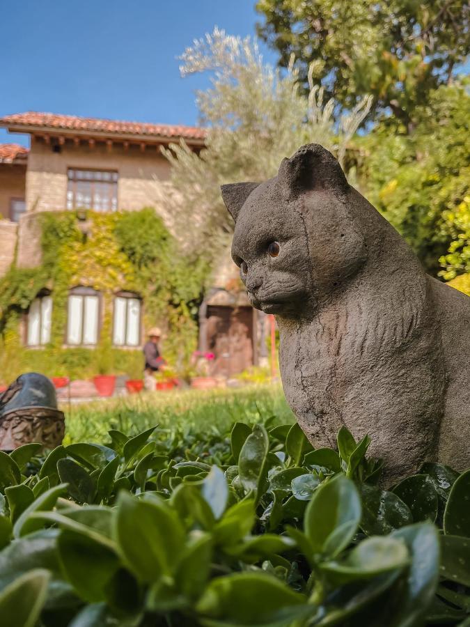 Casa Liza Bed & Breakfast San Miguel de Allende Ngoại thất bức ảnh